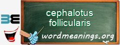 WordMeaning blackboard for cephalotus follicularis
